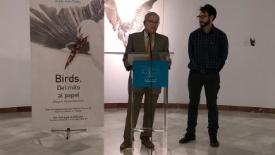 Birds-Diego-Alberto-Pardo-Asunción