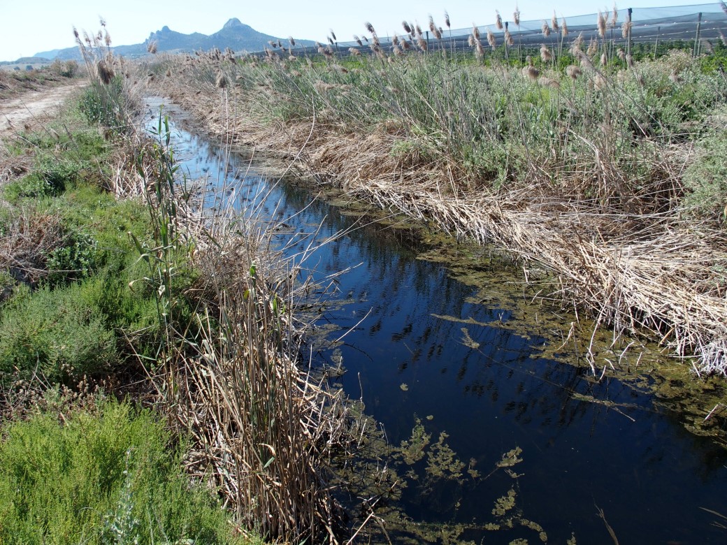 La importancia del agua es el nuevo reto de ‘Villena Viva’