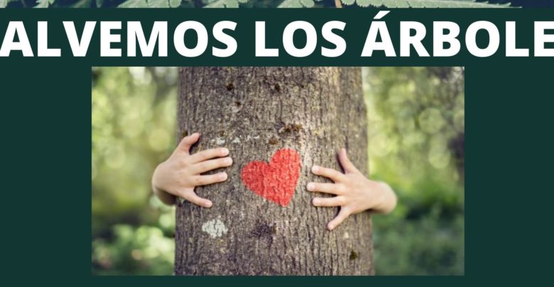 Manifestación en Salinas contra la tala indiscriminada de árboles que  supondrán las plantas solares - El Periódico de Villena